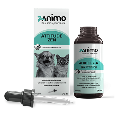 Attitude Zen - Zanimo