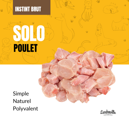 Solo - Poulet