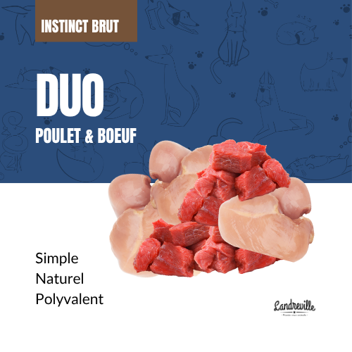 Duo - Poulet et Boeuf