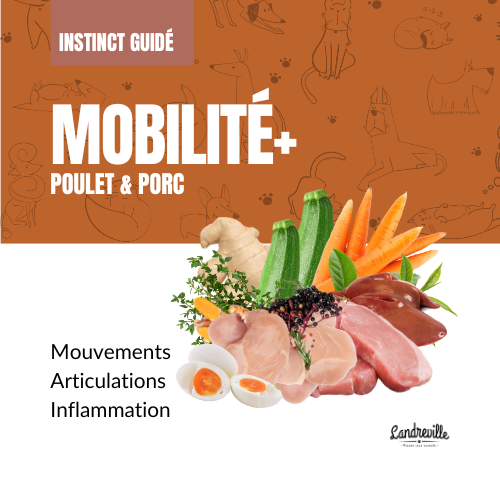 Mobilité - Opti-Soins