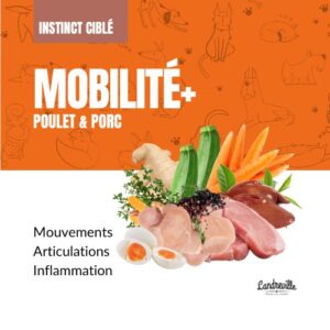 Mobilité - Opti-Soins