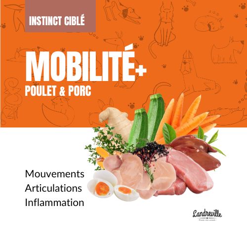 Mobilité - Opti-Soins