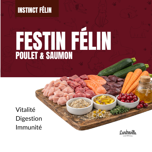 Festin Félin - Poulet, Boeuf et Poisson