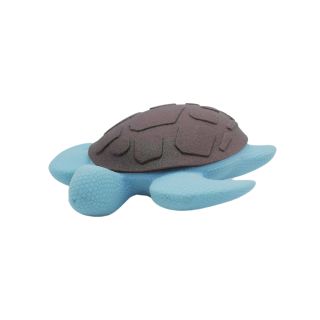 Tortue Bleu