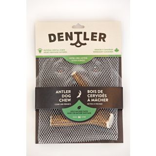 Dentler Bois De Cervidés Entier