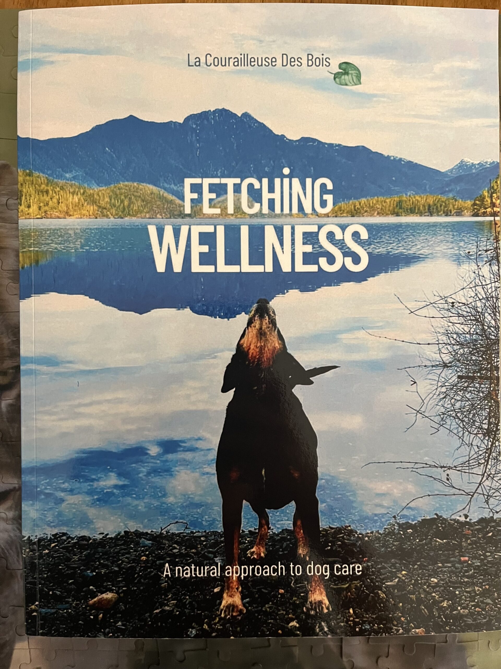 Fetching Wellness book version anglaise